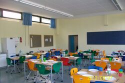 rote_violette_Gruppe_079